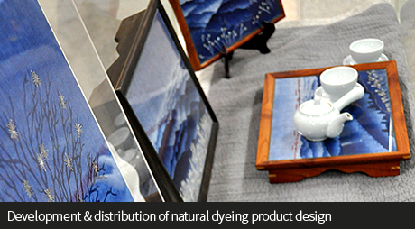 Development & distribution of natural dyeing product design
