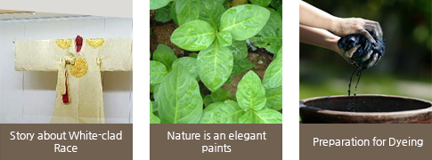 Story about White-clad Race,Nature is an elegant paints,Preparation for Dyeing