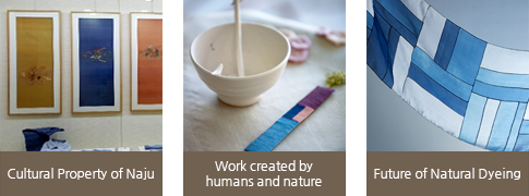 Cultural Property of Naju,Work created by humans and nature,Future of Natural Dyeing