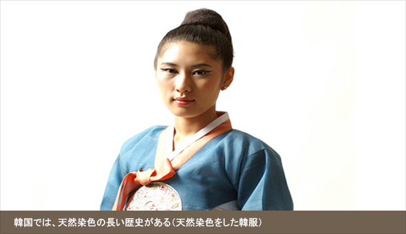韓国では、天然染色の長い歴史がある（天然染色をした韓服）