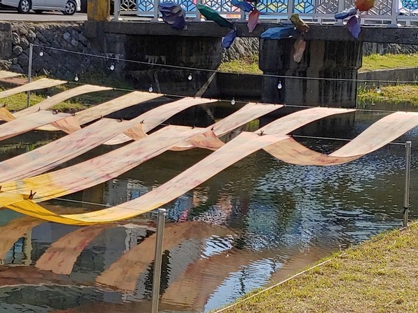 KakaoTalk_20190507_110729662.jpg