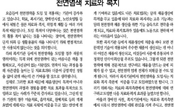 제14호 천연염색 치료와 복지