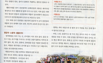 2006년 12월 12일 광주일보